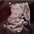Tracy Cook's profile image