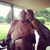 Josetta Blackmon's profile image