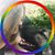 Sue Swick Atkinson's profile image