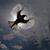 Brenda Balli's profile image