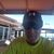 Ron Adamski's profile image