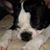 Sharon Siftar's profile image
