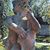 Caroline Carver's profile image