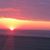 Cheryl DiNardo's profile image