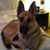 Terry Vieira's profile image