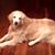 Mitzi Bright Bone's profile image