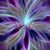 Oconnor Mb's profile image
