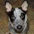 Sarah Davis Martin's profile image