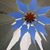 Renee Bruns Drossel's profile image