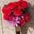 Lisa Hughes's profile image