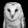 Lisa B.'s profile image