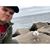 Alden Wadsworth's profile image