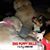 Tracey Love's profile image