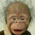 Janet Marsh's profile image