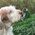 Pam Beaver's profile image