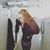 Tiffany Nicole's profile image