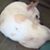 Christopher Conway's profile image