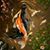 Lisa A. Blount's profile image