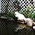 Sandra Serhan's profile image