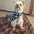 Pam Van Scyoc Parson's profile image