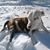 Nancy Fisk's profile image
