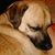 Larry Bache's profile image