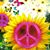 Marilyn Hofer Ritchhart's profile image