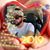 Denis Martin's profile image