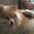 Donna Lentz-Reinhardt's profile image