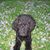 Anna Bella Yonker's profile image