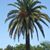 Judi Charlton's profile image