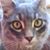 Pamela Stults Jacobson's profile image