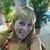 Lisl Freedman's profile image