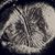 Alaa Elwakeel's profile image