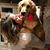 Courtney Sevigny's profile image