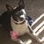 Kelly Yandell Cowan's profile image