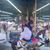 Sarina Brinkley Pierce's profile image