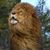 Scott Sowder's profile image
