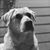 Donna Dunivan-Wood's profile image