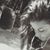 Claudia Bazzoni's profile image