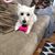 Rosa Marie Patton's profile image