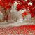 Morgan Canonici Powell's profile image