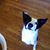 Mark Bulcher's profile image