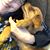 Kayla F. Lobdell's profile image