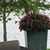 Vicki Alford Gorecki's profile image