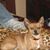 Roberta Minckler-hood's profile image