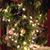 Sandy Parker Morris's profile image