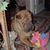 Carole Leutenberg's profile image
