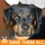 Scott Sigler's profile image