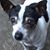 Susan Miller's profile image
